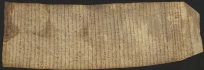 42 D.8.XXXVIIr, Donazione fatta da diversi uomini di Montebaranzone a favore di S. Geminiano, [Modena], [1120-1125, giu. 24]